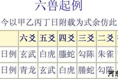 适合无婚姻八字的人生规划建议