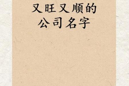 如何通过专业起名公司打造独特品牌形象