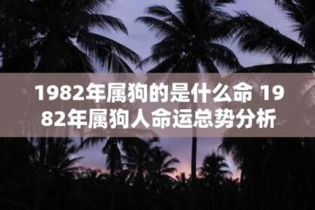 七九年出生的命运与运势走势分析