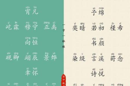 杨姓男孩取名推荐，既有寓意又好听的名字解析