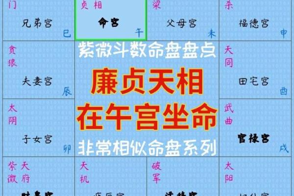 如何解读命理中的午命 如何解读命理中的午命