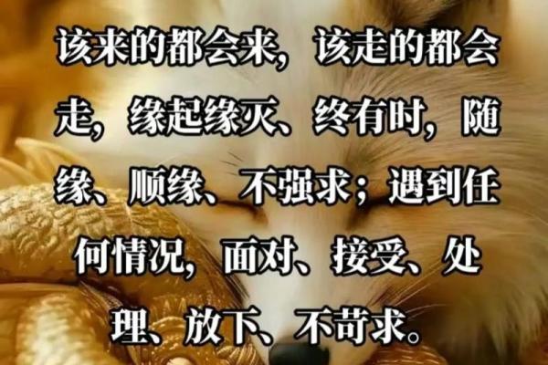 命好的人背后隐藏的命运密码 命好的人背后隐藏的命运密码