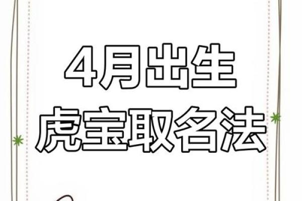 虎宝宝命名技巧：如何根据五行和生肖挑选最合适的名字