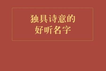 解析伊人名字中的诗意与艺术气息