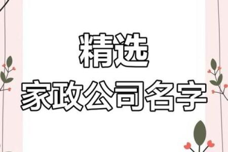 创意十足的家政公司名字大全推荐