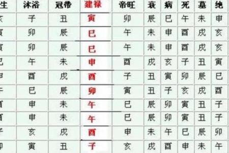 地支子午卯酉全的八字分析与命理解读