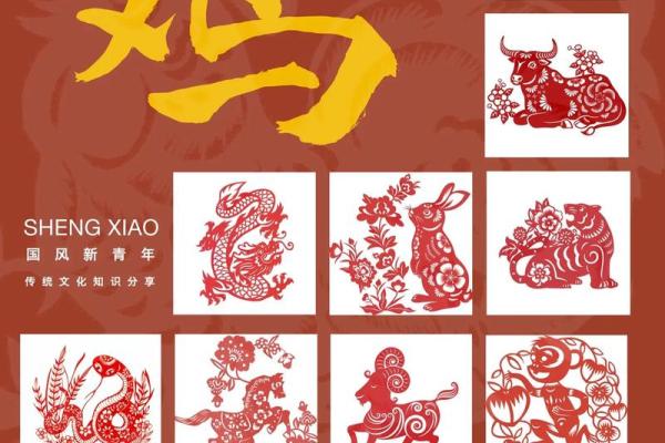 属什么生肖 解析生肖运势与性格特点 属什么生肖 解析生肖运势与性格特点
