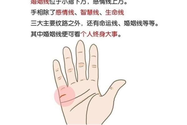 通过八字深入分析二婚是否能获得幸福 通过八字深入分析二婚是否能获得幸福