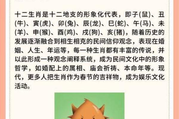 牛和相配的最佳生肖配对解析 牛和相配的最佳生肖配对解析