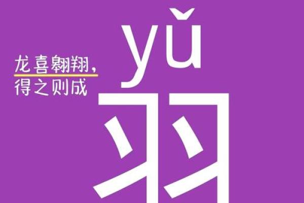 泽希：一个富有诗意的名字与它的寓意
