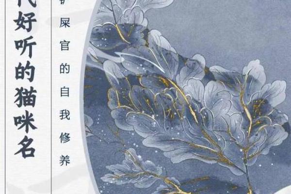 泽希：一个富有诗意的名字与它的寓意