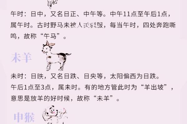 从神话到现实:十二生肖的起源与演变 从神话到现实:十二生肖的起源与演变