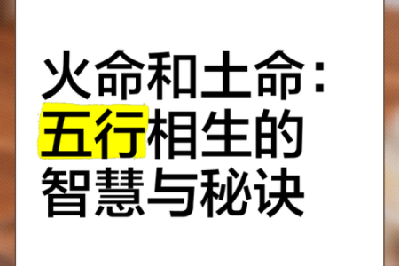 五行之持：探寻平衡与力量的内在关系