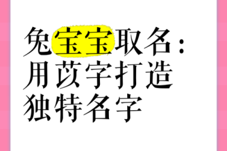 宝宝名字免费测试：探索独特的名字选择