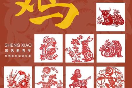属什么生肖 解析生肖运势与性格特点