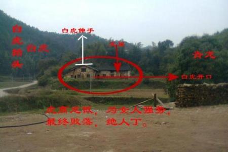 提升家庭运势，从青龙位的风水布局开始