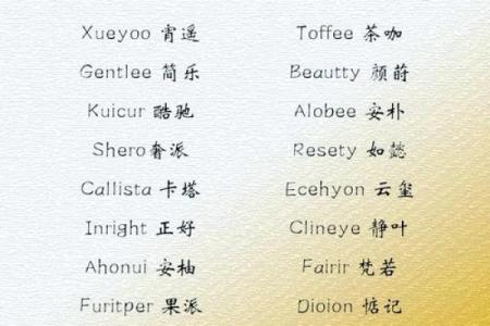 如何为公司品牌起一个独特且具有吸引力的名字