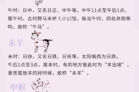 从神话到现实：十二生肖的起源与演变