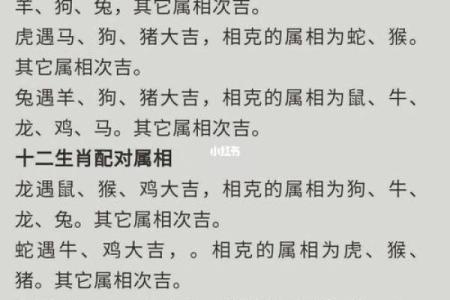 属相相配最佳组合分析与选择技巧