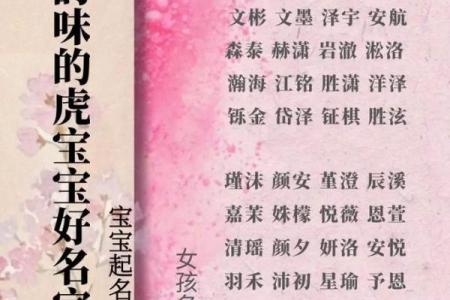 采尔公司起名指南：为品牌选择一个独特而有吸引力的名字
