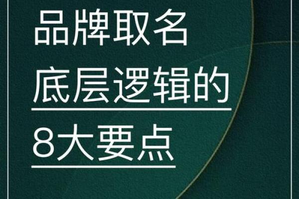 选择合适的公司起名软件提升品牌创意和竞争力 选择合适的公司起名软件提升品牌创意和竞争力