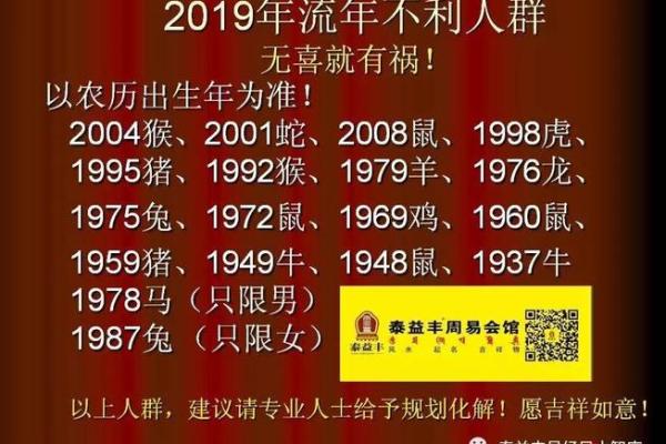 揭秘猪年运势走势与关键事项 揭秘猪年运势走势与关键事项