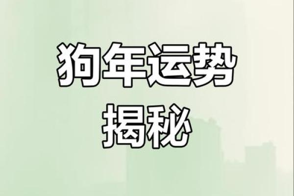 生肖狗的命运与性格特征深度解读 生肖狗的命运与性格特征深度解读