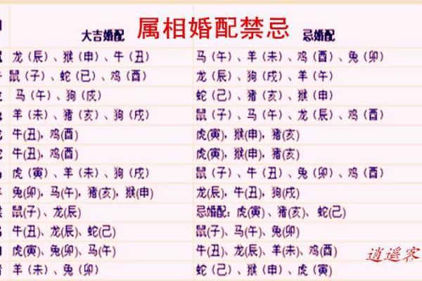 生肖婚姻配对:哪些生肖组合注定幸福美满 生肖婚姻配对:哪些生肖组合注定幸福美满
