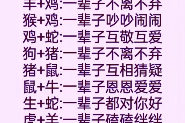 生肖婚姻配对:哪些生肖组合注定幸福美满 生肖婚姻配对:哪些生肖组合注定幸福美满
