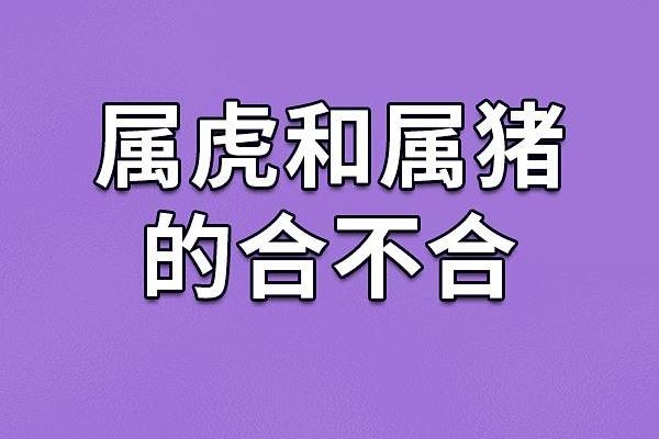 摩羯座与属猪的性格互补与相处之道 摩羯座与属猪的性格互补与相处之道