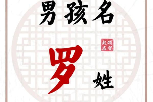 罗姓宝宝名字大全，助你选个好名字