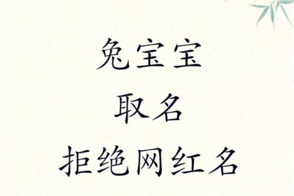 免费宝宝起名字网站推荐：快速找到独特又有意义的名字