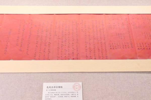阳命的定义与特点:深入解读命理中的阳命概念 阳命的定义与特点:深入解读命理中的阳命概念