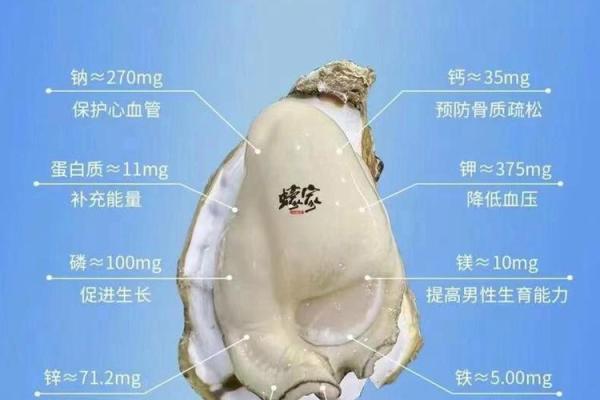 蚝公司起名灵感:独特与创新的关键 蚝公司起名灵感:独特与创新的关键