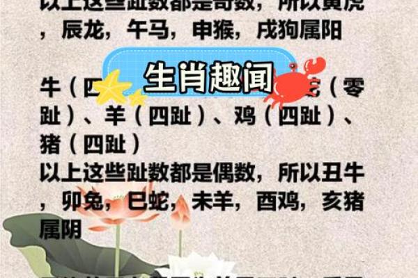 生肖排名揭秘 属相排序影响你的一生 生肖排名揭秘 属相排序影响你的一生
