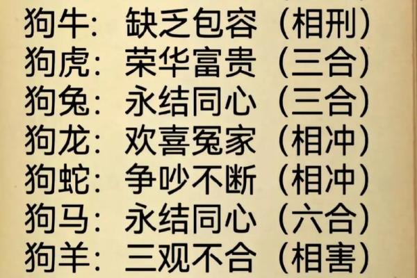 生肖狗与哪几种生肖最合适结婚 生肖狗与哪几种生肖最合适结婚