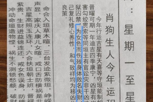 狗年大吉运势揭秘:提升运势的五个实用方法 狗年大吉运势揭秘:提升运势的五个实用方法
