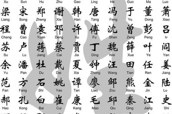 精选适合男孩的带磊名字大全 精选适合男孩的带磊名字大全