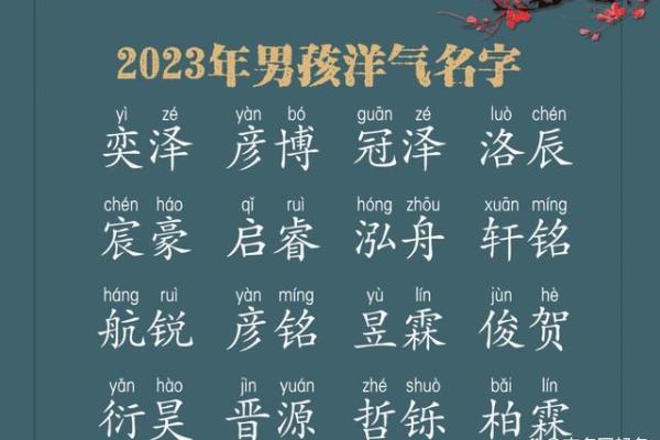 精选适合男孩的带磊名字大全 精选适合男孩的带磊名字大全