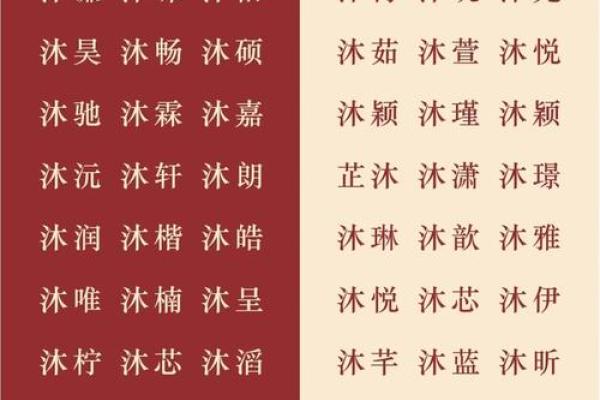 如何选用福字起名为公司注入好运气