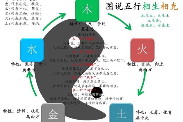 木命属相与五行的关系解析 木命属相与五行的关系解析