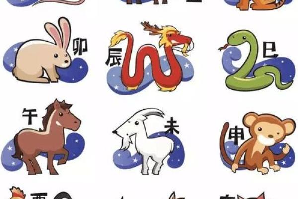 卯在十二生肖中代表什么动物 卯在十二生肖中代表什么动物