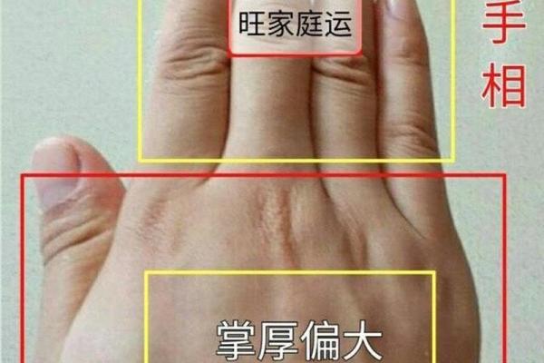 享受老公福气的八字命理解析 享受老公福气的八字命理解析