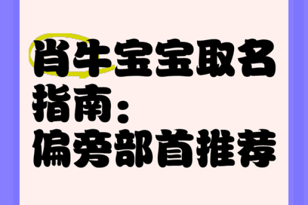适合牛宝宝的独特名字选择指南