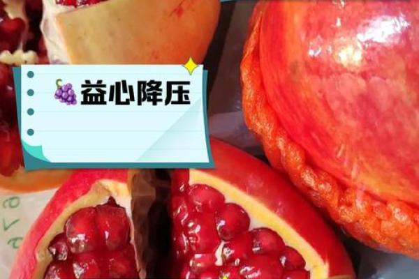 石榴木命的五行属性及其对人生的影响 石榴木命的五行属性及其对人生的影响