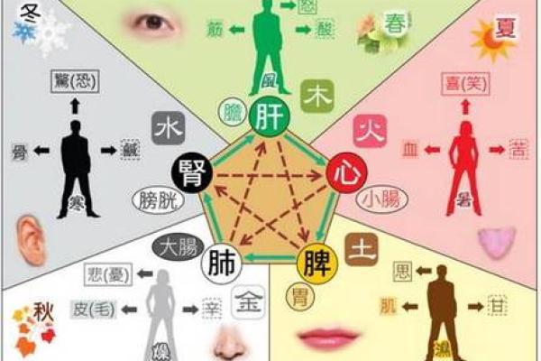 炒股五行的应用与实践:找准属于你的投资方向 炒股五行的应用与实践:找准属于你的投资方向