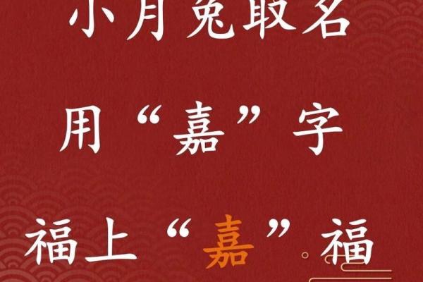 嘉字起名公司:为您定制独特的名字,传递美好寓意 嘉字起名公司:为您定制独特的名字,传递美好寓意