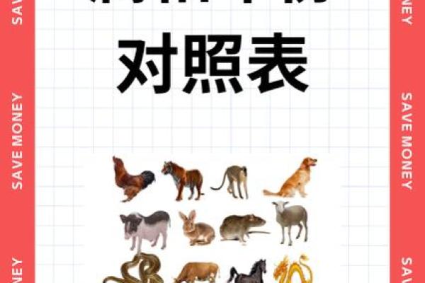 十二生肖年份与人生关键节点的关联 十二生肖年份与人生关键节点的关联