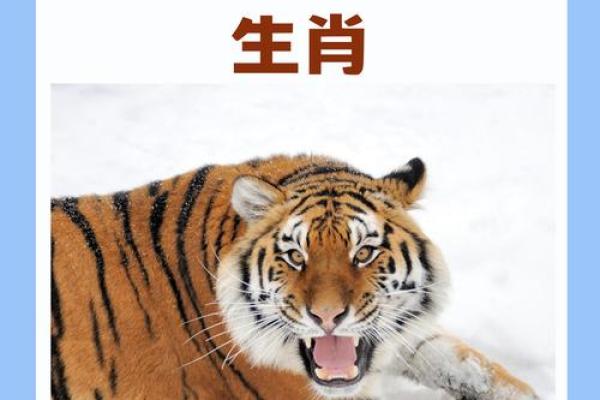 冲锋陷阵象征的生肖是什么 冲锋陷阵象征的生肖是什么