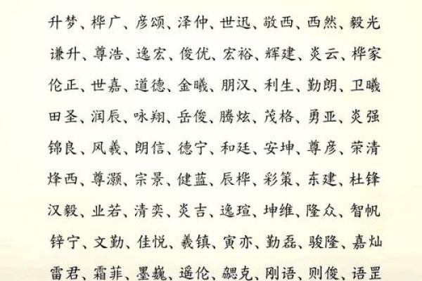 全面了解起名公司查询的重要性与优势 全面了解起名公司查询的重要性与优势